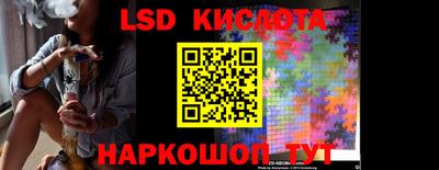 шишки Славгород
