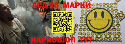 шишки Сланцы