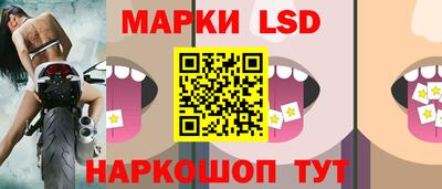 шишки Сланцы