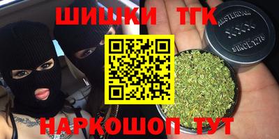 шишки Славгород