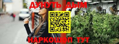 шишки Сланцы