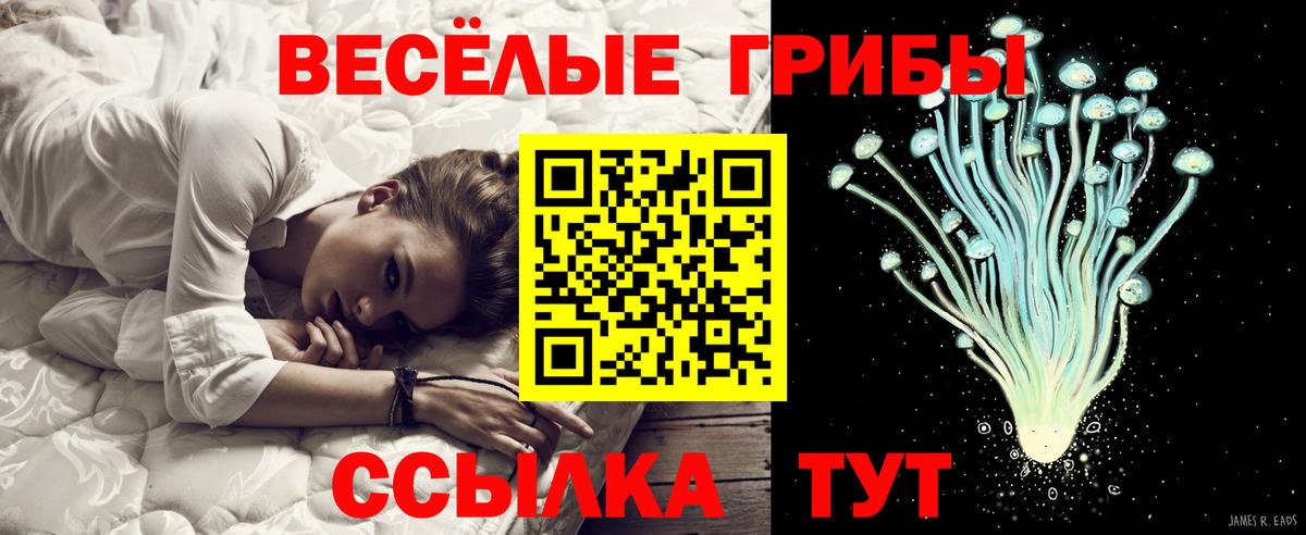 Псилоцибиновые грибы мицелий  Галлюциногенные грибы MAGIC MUSHROOMS  купить наркотики сайты  Вход с VPN  Барнаул 